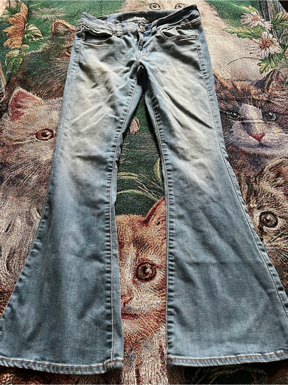 American Eagle Outfitters Light Wash Flare Jeans